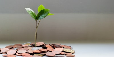 Investment