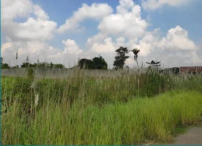 Purbachal | Sector-3