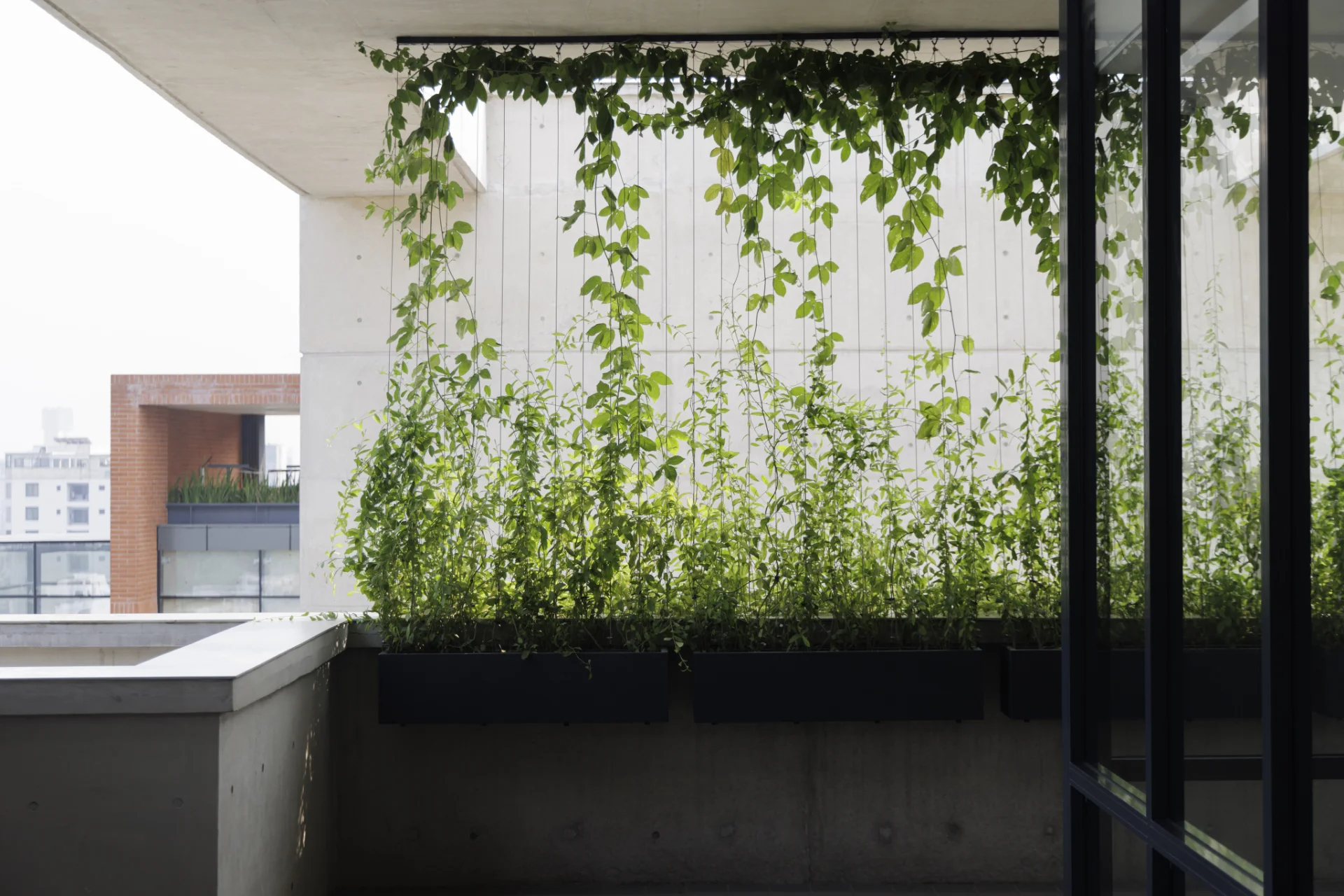 Amena Terrace by SIMPLE TREE